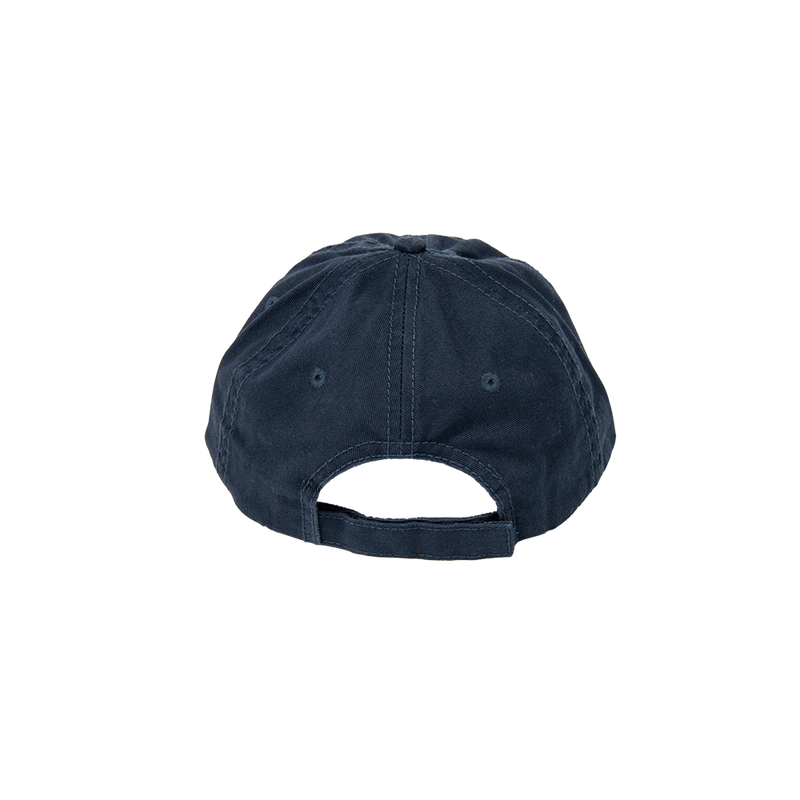 NASA "Meatball" Logo Hat