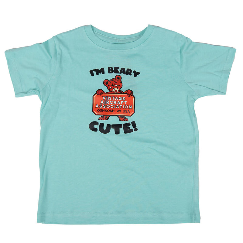 Vintage Aircraft Association Kid&