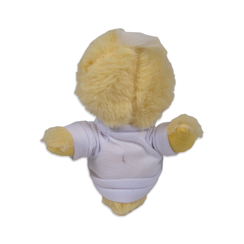 Plush Duck with EAA T-Shirt