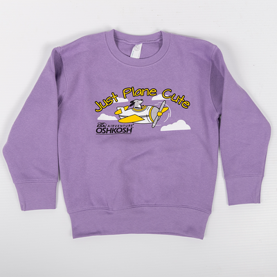 EAA Youth AirVenture Oshkosh Flying Planes Hoodie