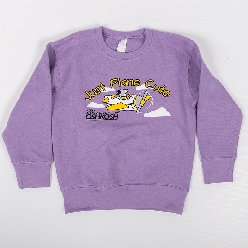 EAA Youth AirVenture Oshkosh Flying Planes Hoodie