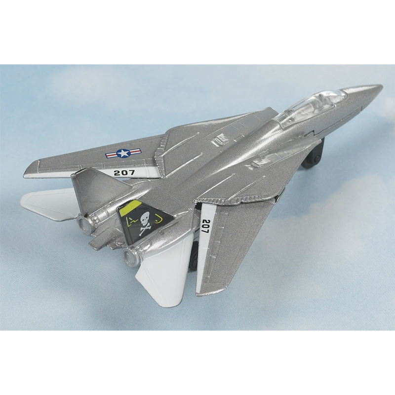 Hot Wings F-14 Tomcat (Jolly Roger)