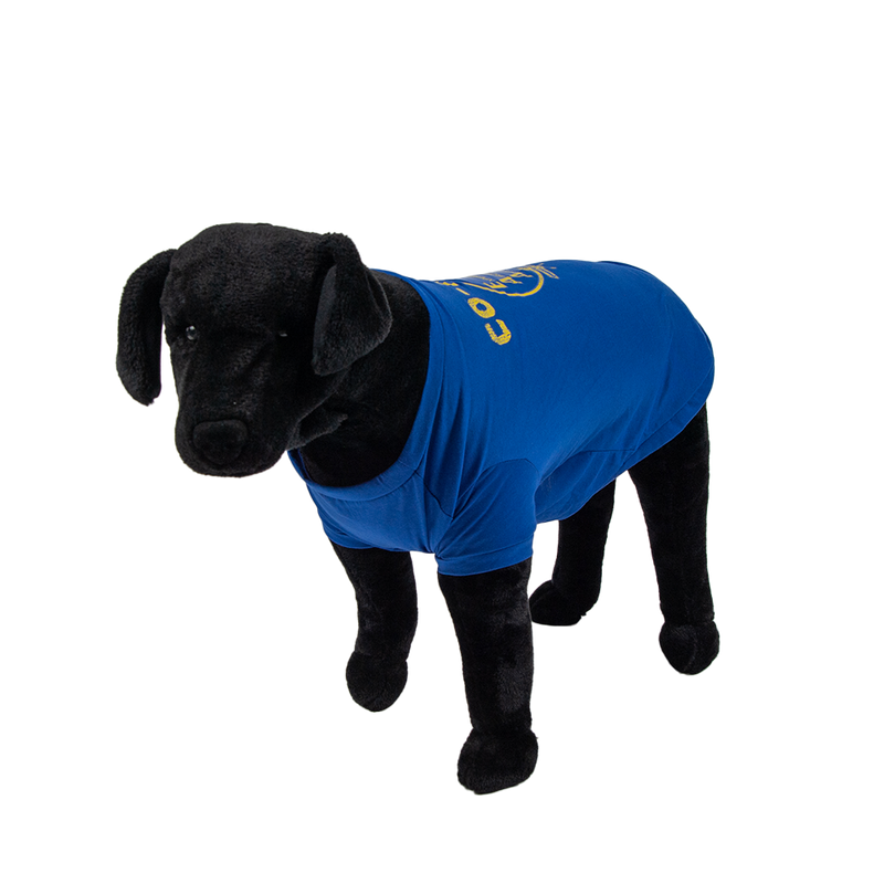 EAA Co-Pilot Dog T-Shirt