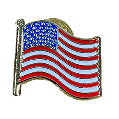 Pin American Flag Gold WB