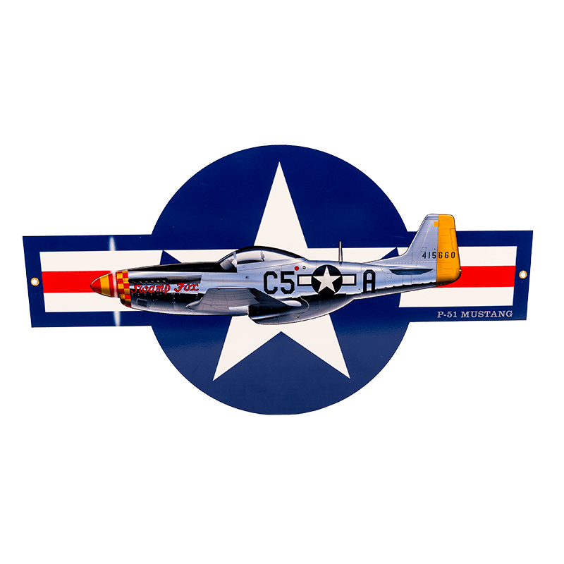 Sign P-51 Swamp Fox Stars & Bars WB