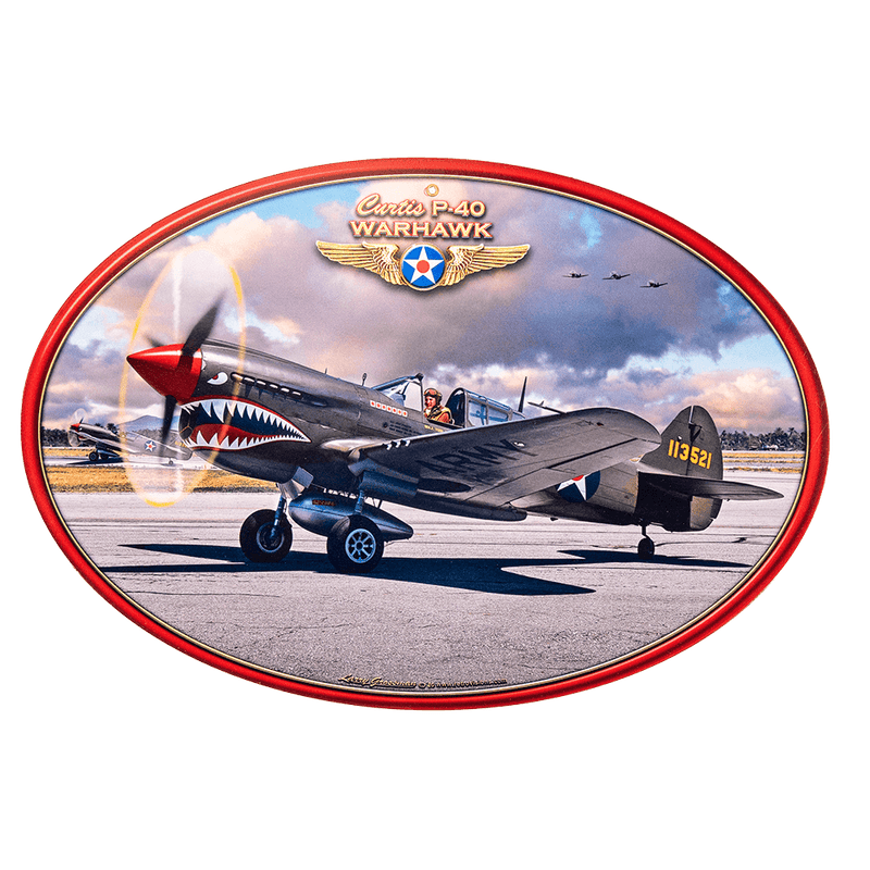 Sign P-40 Warhawk - WB LGB871