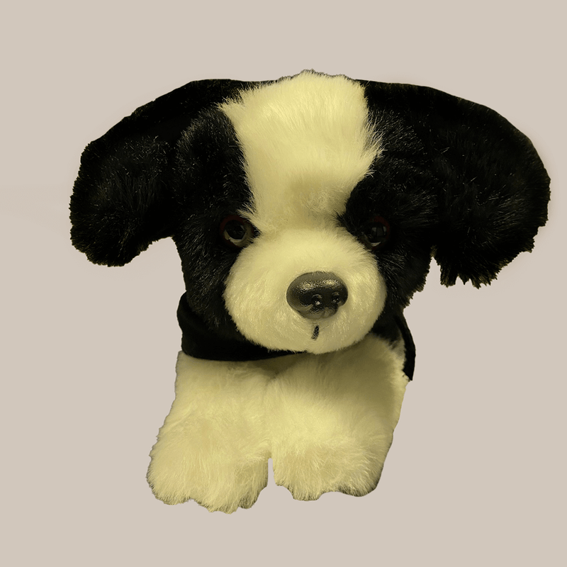 Stuffed Tiny Tykes Border Collie- WB