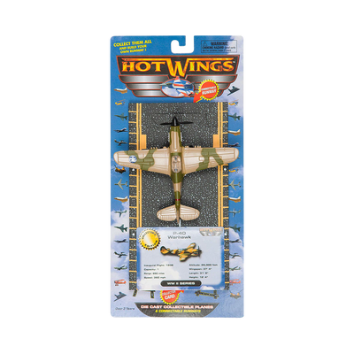 Hot Wings P-40 Warhawk